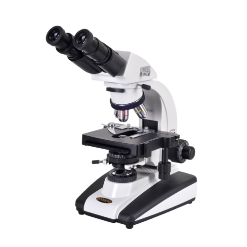 Compound Microscope